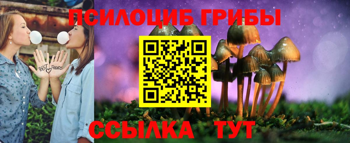 Псилоцибиновые грибы Psilocybe  Вход с VPN  Псилоцибиновые грибы мухоморы  где купить наркоту  Заволжье 
